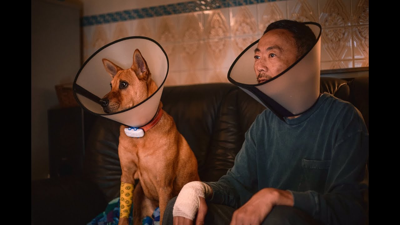 An Abandoned Team Trailer